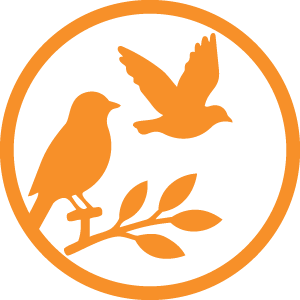 Peak Beak Wild BSFL Treats 750g