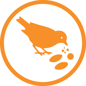 Peak Beak Wild BSFL Treats 750g